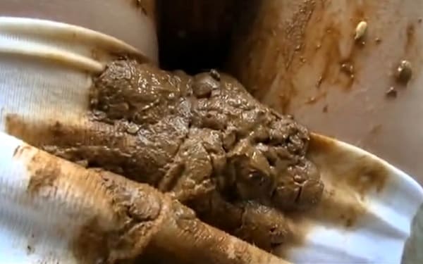 ピタパンにウンチお漏らし